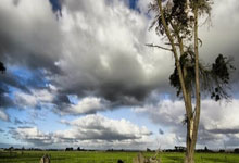 柏林赫塔主场告捷，联赛稳步