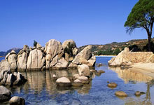 阿尔贝特尼结束连胜，不敌里尔主场失利